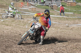 Sp&eacute;ciale T1 : 596