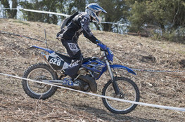 Sp&eacute;ciale T1 : 628 (Ludo)