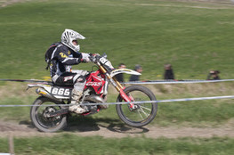 Sp&eacute;ciale T1 : 665