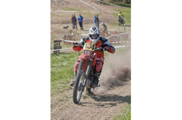 Sp&eacute;ciale T2 : 434