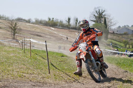 Sp&eacute;ciale T2 : 590