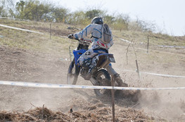 Sp&eacute;ciale T1 : 705 (Tim)