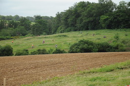 Sp&eacute;ciale