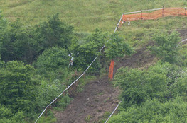 Sp&eacute;ciale, T1, parti dans les arbres