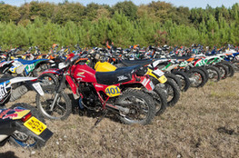 Parc ferm&eacute; - 500 XLR