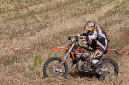 SP1 - n&deg;594 repart