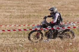 SP1 - n&deg;645 (Ludo)