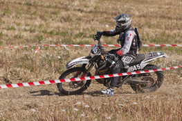 SP1 - n&deg;645 (Ludo)