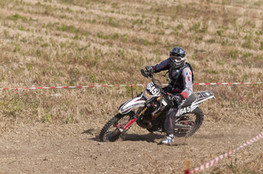 SP1 - n&deg;645 (Ludo)