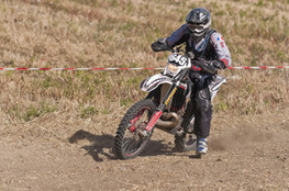 SP1 - n&deg;645 (Ludo)