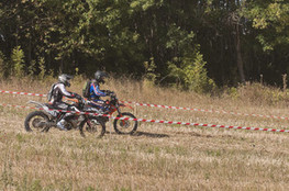 SP1 - n&deg;645 (Ludo) double