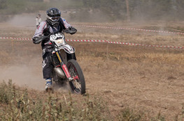 SP2 - n&deg;645 (Ludo)