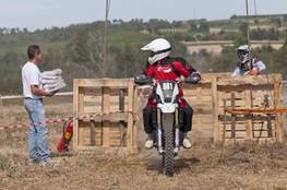 SP2 - n&deg;801 a faim