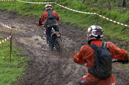 SP2 - gang d'oranges