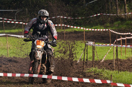 SP2 - n°58 (Ludo)