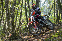 L&eacute;onard, attention