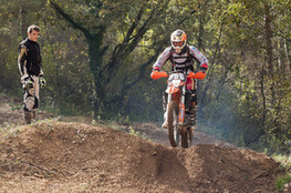 Saut- L&eacute;onard