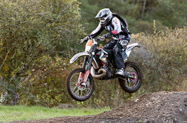 Sp&eacute;ciale - Ludo