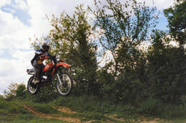 Ludo saut 2 (250 XR)