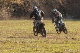 Prairie - &ccedil;a repart