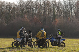 Prairie - Les Guidons Verts