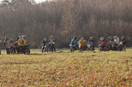 Prairie - les groupes