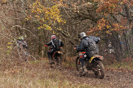 Prairie - Lespotes repartent