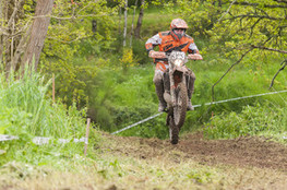 SP1 : n&deg;333