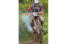 SP1 : n&deg;342