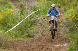 SP1 : n&deg;242