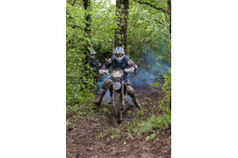 Bois - n°186 (Matt125) se lance
