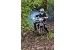 Bois - n°186 (Matt125) fume
