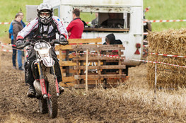 SP1 - n&deg;579 (Ludo)