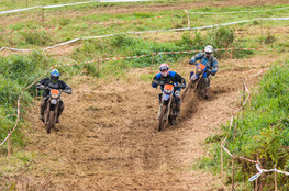 n&deg;335, 336 et 337