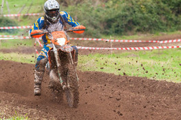 n&deg;39 dans la terre