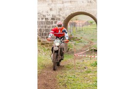 Ch&acirc;teau: n&deg;177