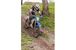 Ch&acirc;teau: n&deg;183