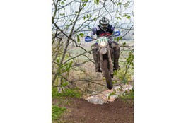 Ch&acirc;teau: n&deg;307