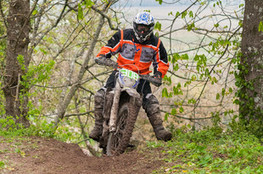 Ch&acirc;teau: n&deg;308