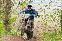 Ch&acirc;teau: n&deg;185