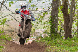 Ch&acirc;teau: n&deg;319