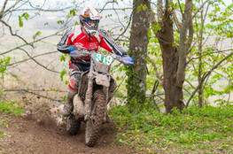 Ch&acirc;teau: n&deg;319