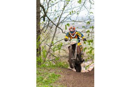 Ch&acirc;teau: n&deg;193