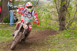 Ch&acirc;teau: n&deg;331