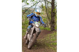 Ch&acirc;teau: n&deg;333