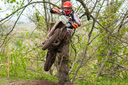 Ch&acirc;teau: n&deg;354