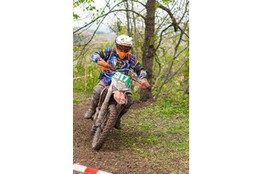 Ch&acirc;teau: n&deg;317