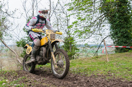 Ch&acirc;teau: n&deg;459