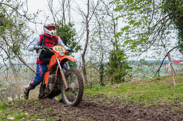 Ch&acirc;teau: n&deg;446