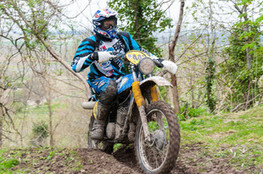 Ch&acirc;teau: n&deg;442